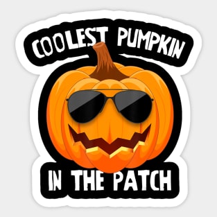 Kids Coolest Pumpkin In He Patch Halloween Boys Girls Gift Sticker
